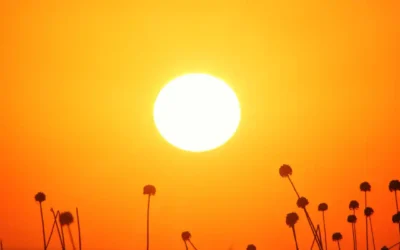 Canicule 2026 : pourquoi des combles mal isolés transforment votre maison en four — et comment y remédier